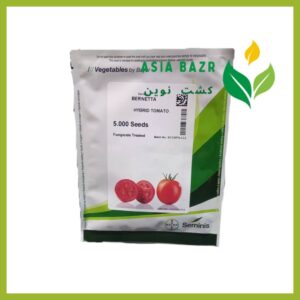 بذر گوجه برنتا سمینیس اصل