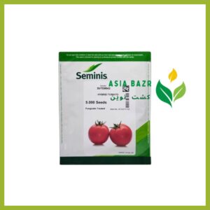 بذر گوجه 8042 اصل سمینیس
