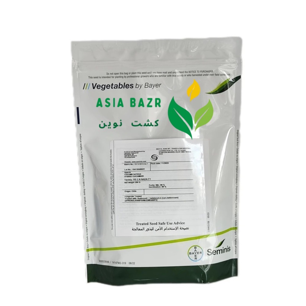 بذر خیار 2n رویال سمینیس - تصویر 2