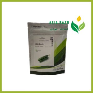بذر خیار 4196 سمینیس