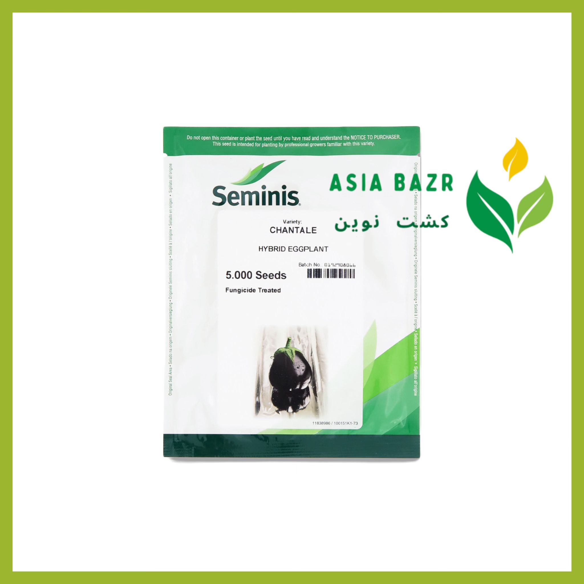 بذر بادمجان شانتال سمینیس