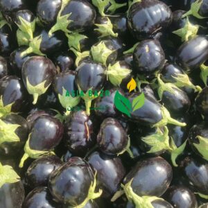 بادمجان شانتال