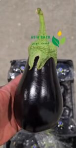 بذر بادمجان سمینیس