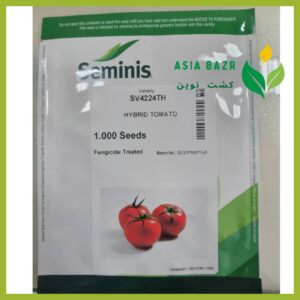 بذر گوجه 4224 گلخانه ای سمینیس