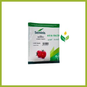 بذر گوجه بدرو سمینیس