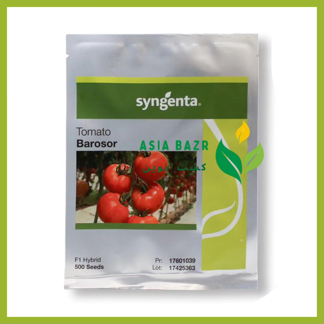 بذر گوجه باروسور
