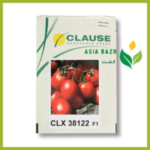 بذر گوجه CLX 38122 F1 کلوز