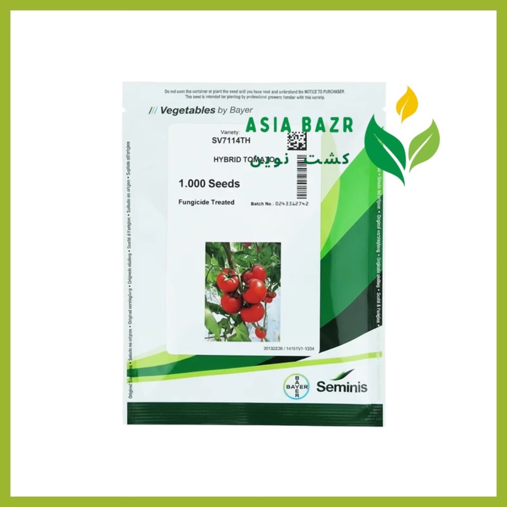 بذر گوجه گلخانه‌ای 7114 سمینیس