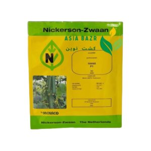 بذر خیار شهاب