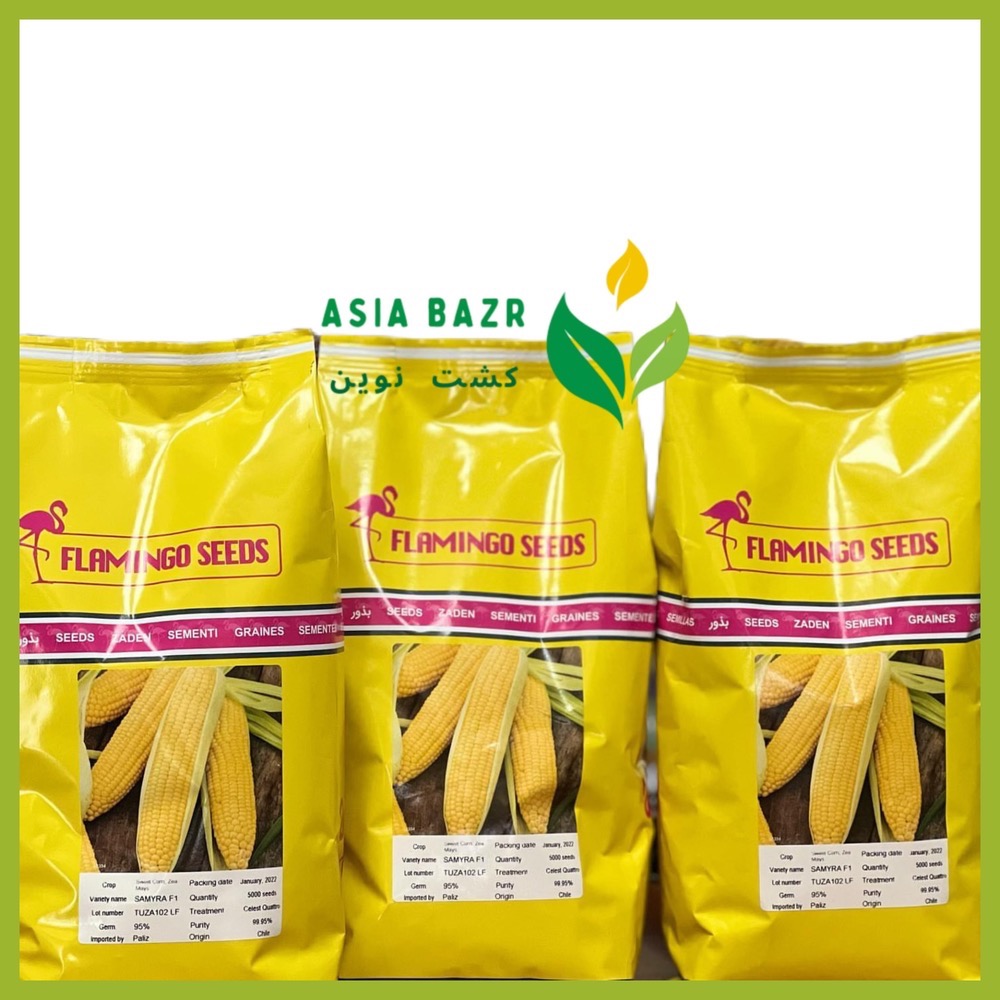 بذر ذرت شیرین سمیرا F1