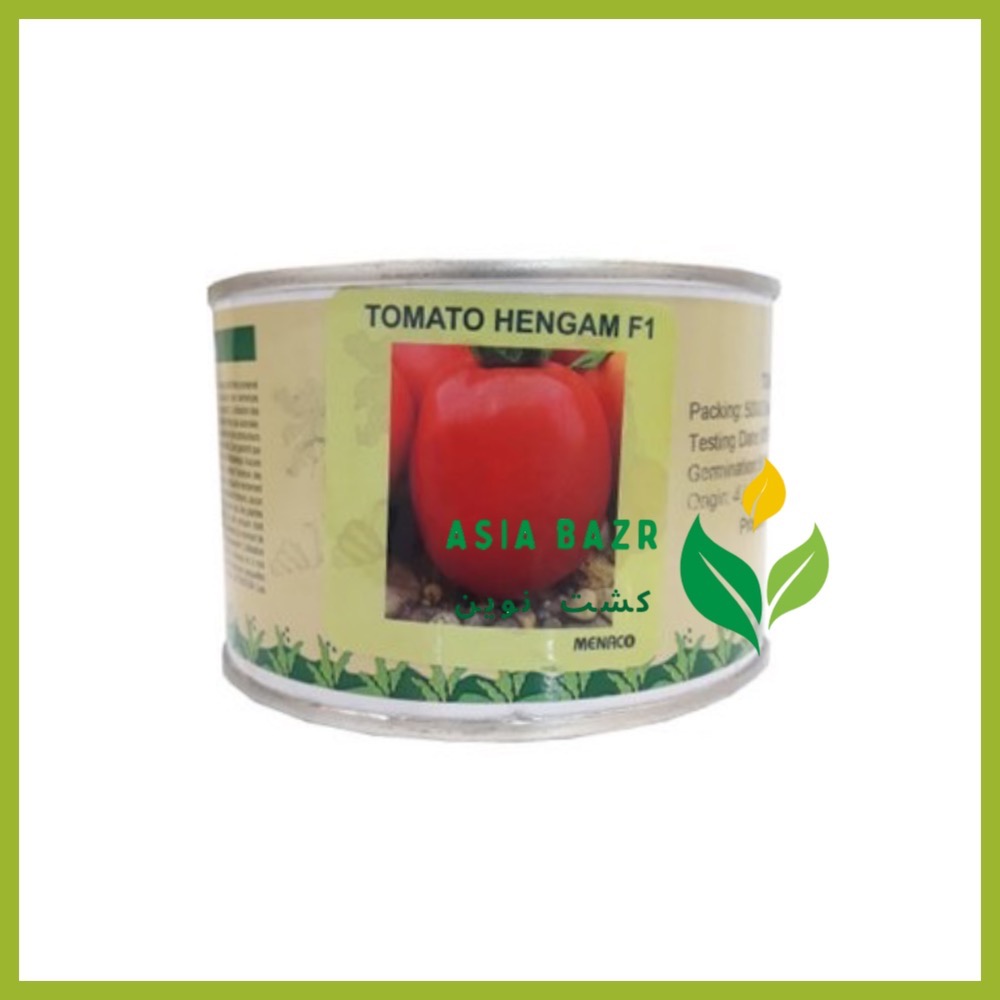 بذر گوجه‌ فرنگی هنگام پلاریس