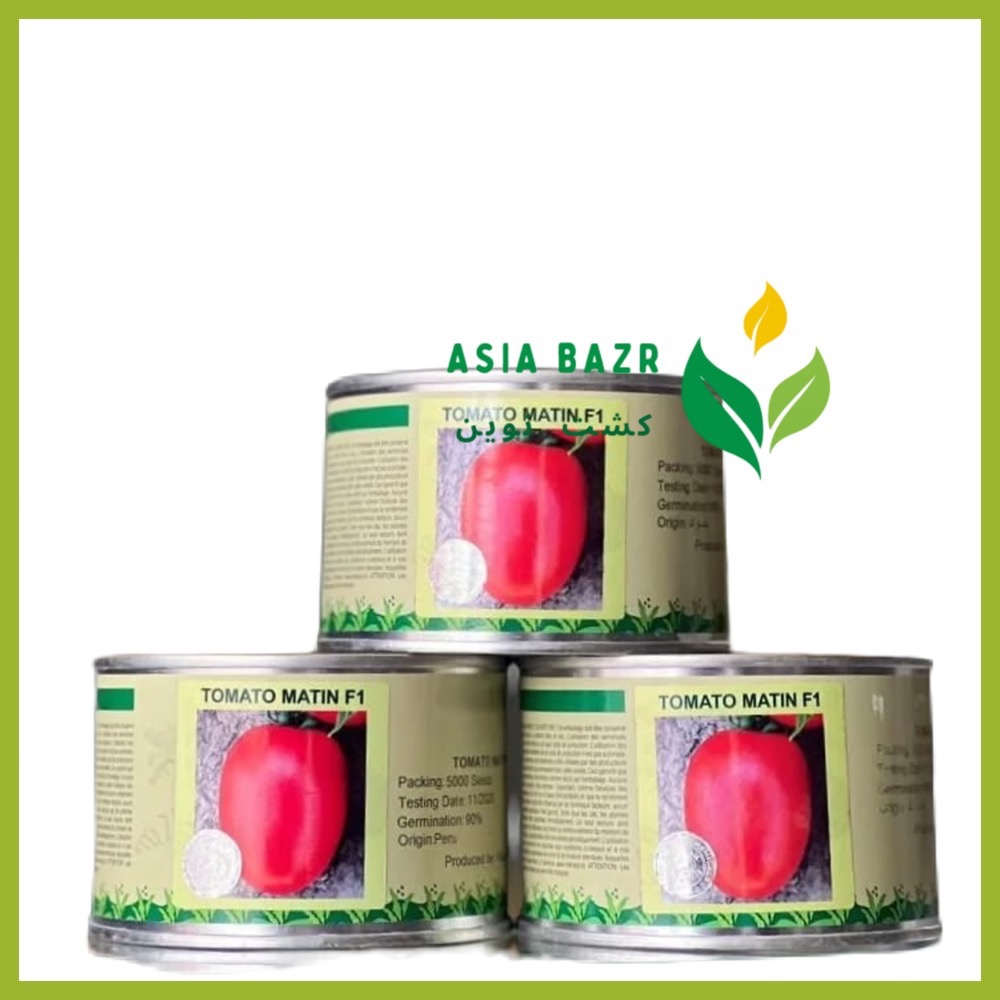 بذر گوجه‌ فرنگی متین