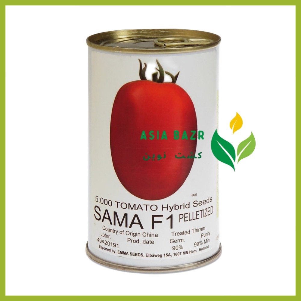 بذر گوجه‌ فرنگی سما F1