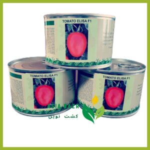 بذر گوجه فرنگی الیسا