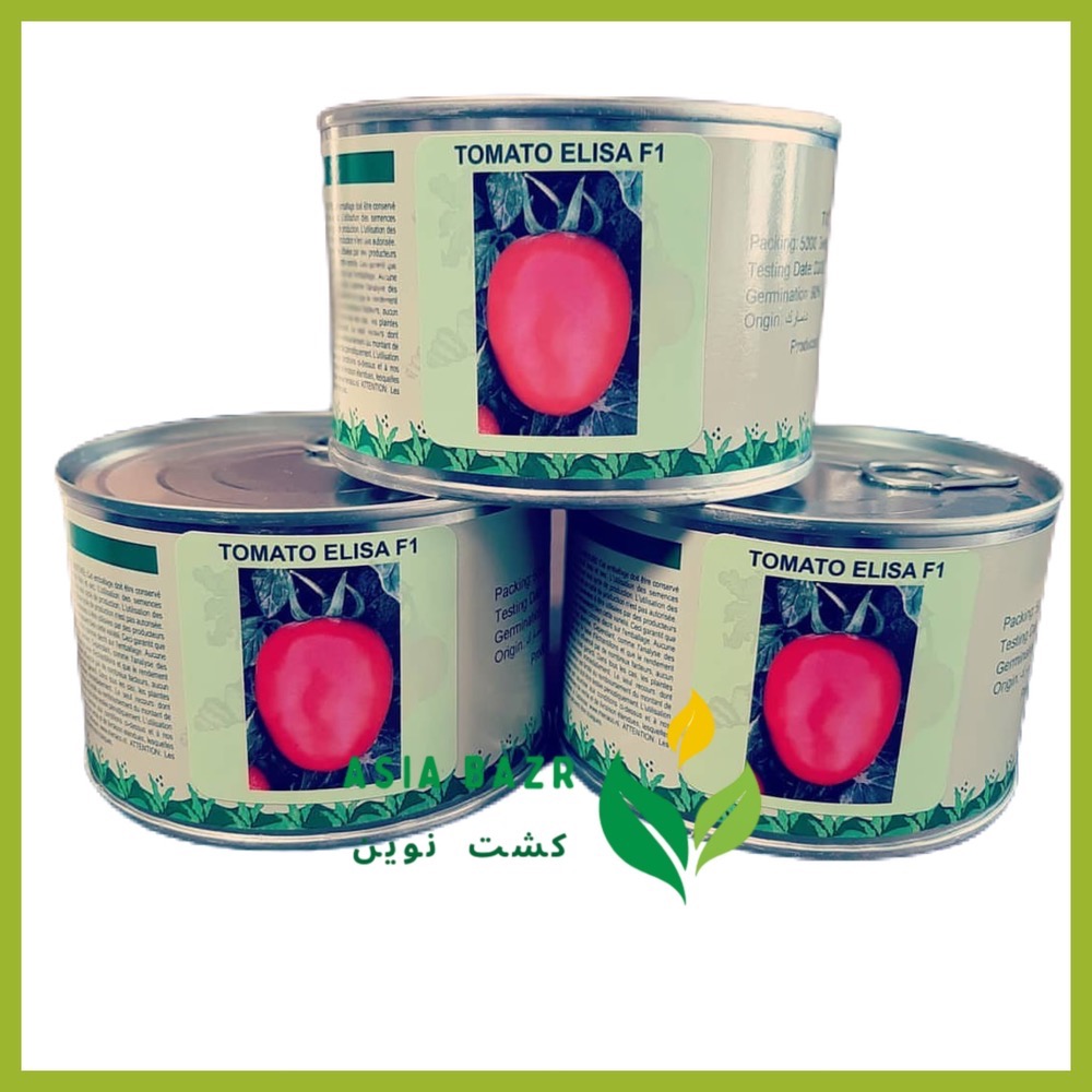 بذر گوجه‌ فرنگی الیسا