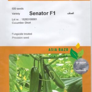 بذر خیار سناتور