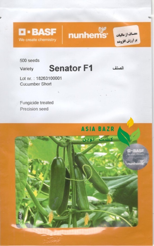 بذر خیار سناتور