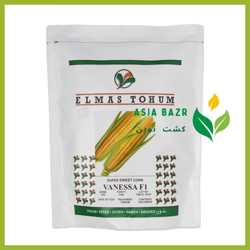 بذر ذرت شیرین وانسا (VANESSA F1)